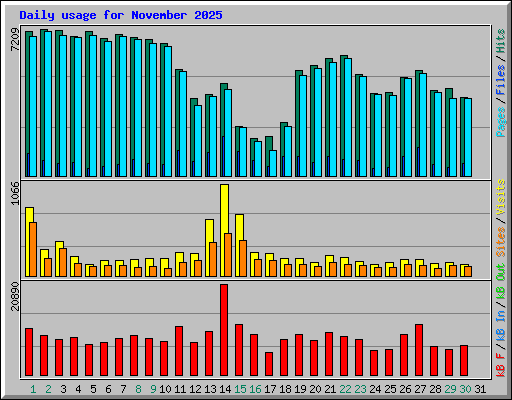 Daily usage for November 2025