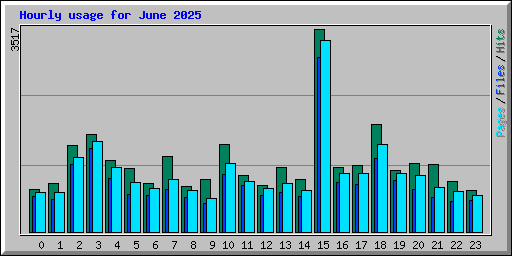 Hourly usage for June 2025