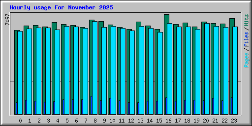Hourly usage for November 2025