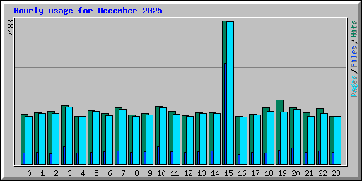 Hourly usage for December 2025